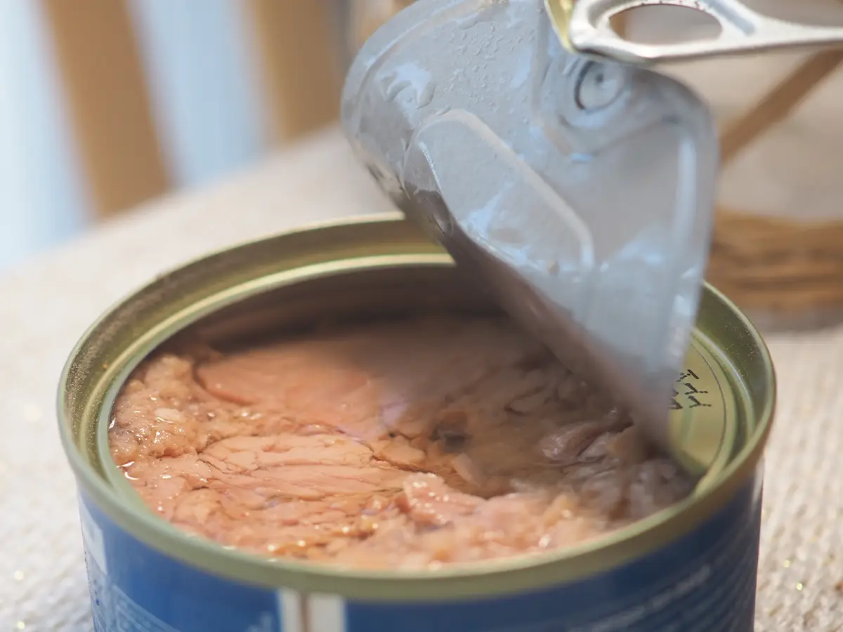 缶詰の写真