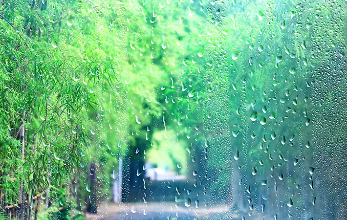 雨の日の窓の写真