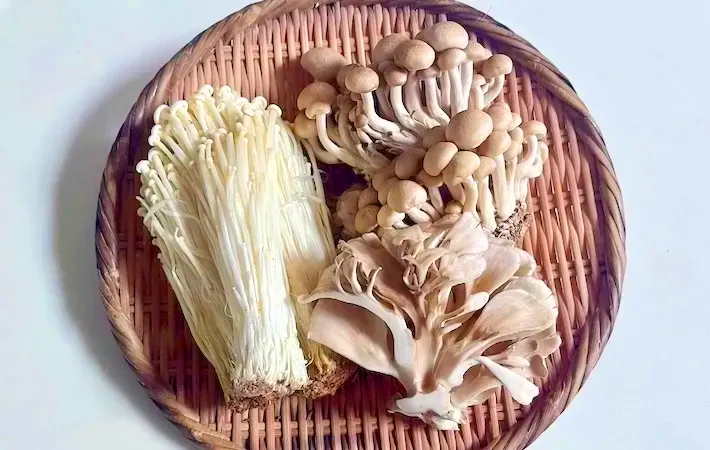きのこ