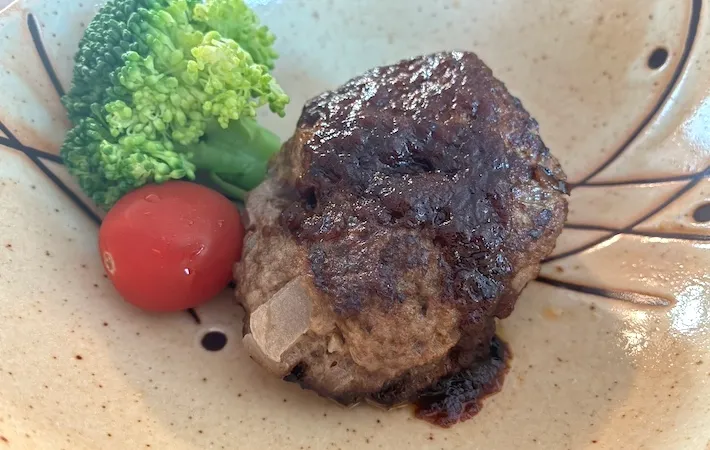 器に盛りつけてソースをかけたハンバーグの画像（撮影：エニママ）