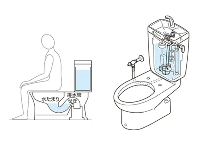 トイレの構造の画像