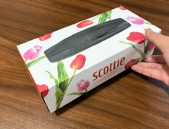 手で持ったティッシュの空き箱（撮影：grapeライフハック編集部）