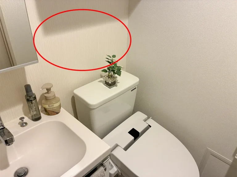 トイレ上のデッドスペース（撮影：grapeライフハック編集部）