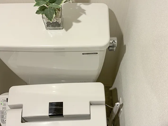 トイレの便器裏（撮影：grapeライフハック編集部）