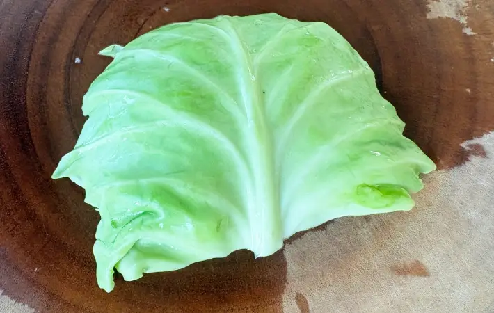 キャベツの使用しない部分の画像（撮影：エニママ）