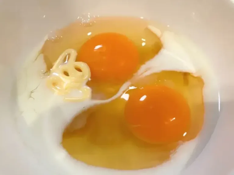 玉子焼きの材料