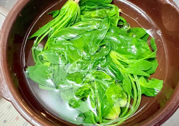 ゆでたほうれん草を水に浸している画像（撮影：エニママ）