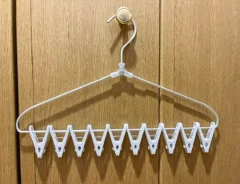 『一度に外せる10ピンチハンガー』の写真（撮影：ワード）
