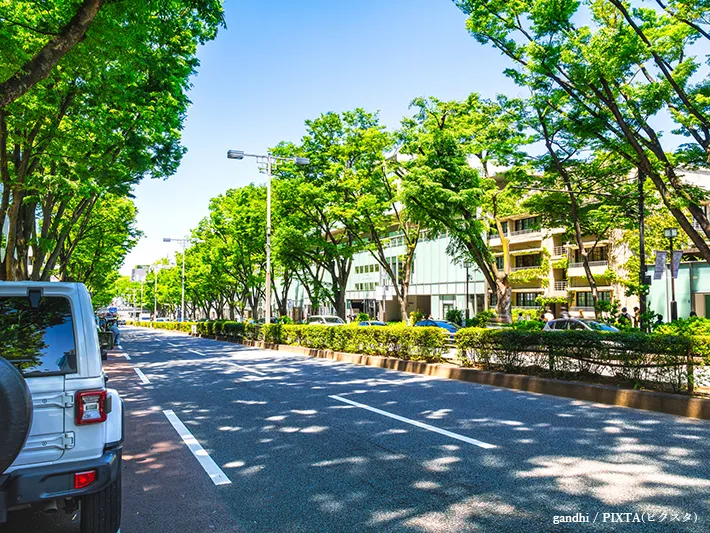 都会の街路樹