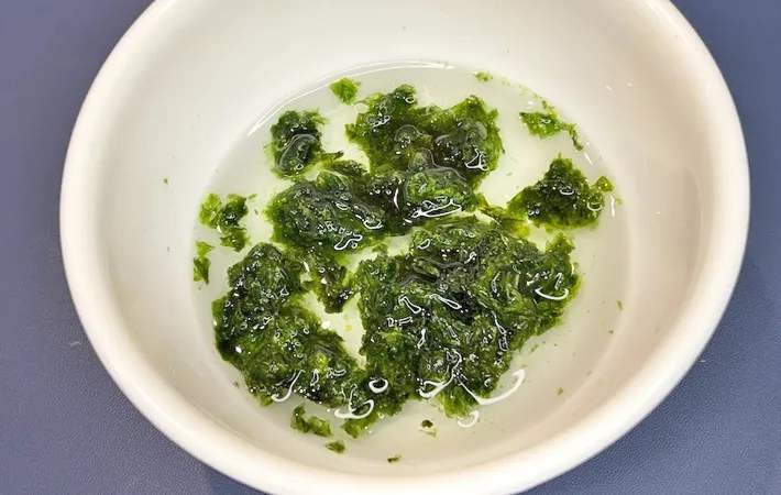 『あおさ玉子焼き』を作る写真（撮影：キジカク）