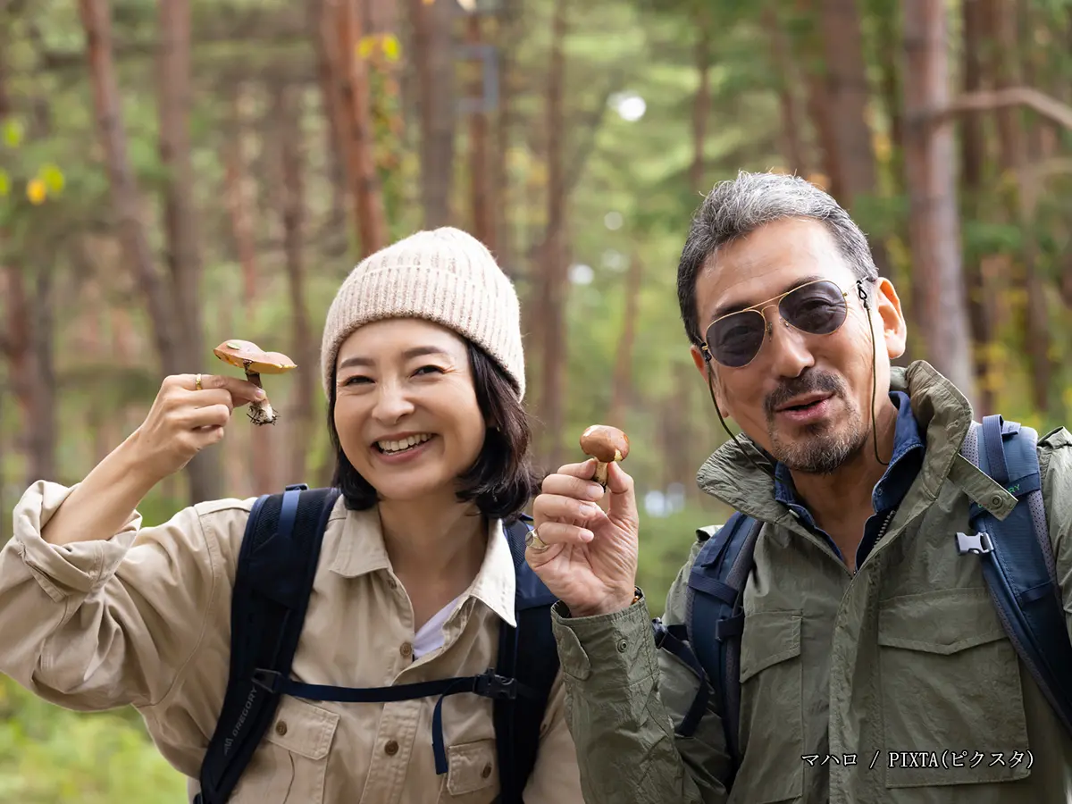 間違えやすい毒キノコとは? 秋の誤食を防ぐ注意点を解説
