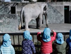 象のはな子、亡くなる。　日本で過ごした６７年　飼育員さんと二人三脚で