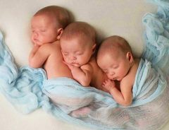 確率は２００万分の１以下！『一卵性の三つ子』の奇跡に奇跡を重ねた出生