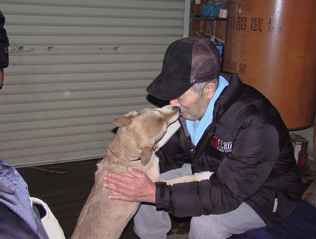中越地震で飼い主を救った犬 マリ 大好きなおじいさんと一緒に天国へ旅立つ Grape グレイプ