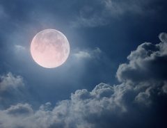 ６月２０日は『ストロベリームーン』　初夏の赤い満月　見ると恋人と幸せになれちゃうかも