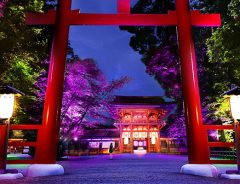 京都の世界遺産「下鴨神社」で光の祭典　チームラボが生み出す光と音のアート