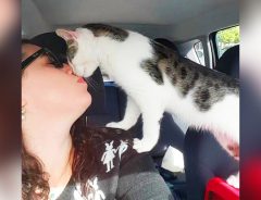 殺処分寸前に保護された猫、感謝のキス「救ってくれて、ありがとニャン！」