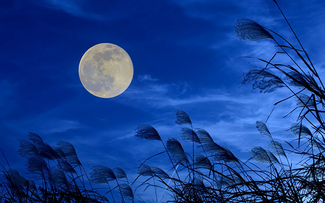 9月15日は 中秋の名月 一年で最も美しい月を見る前に知っておきたいこと Grape グレイプ