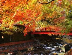 経済産業省が『日本の美しい風景画像』を無料配付！日本の魅力を世界に伝える