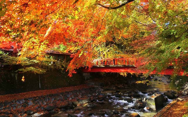 経済産業省が 日本の美しい風景画像 を無料配付 日本の魅力を世界に