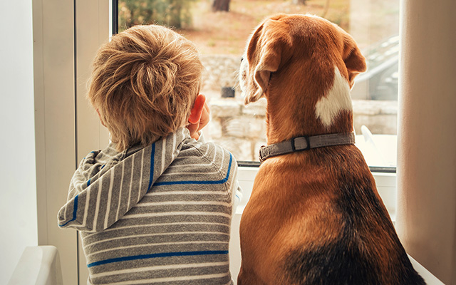 いつも息子の右側に寄り添う飼い犬 行動の意味を知った母親が驚いた理由とは Grape グレイプ