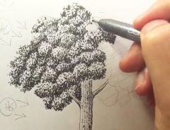 プロ漫画家が教える『２分でわかる木の描き方』　動画がすごくわかりやすい…！