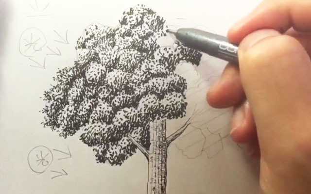 プロ漫画家が教える ２分でわかる木の描き方 動画がすごくわかりやすい Grape グレイプ