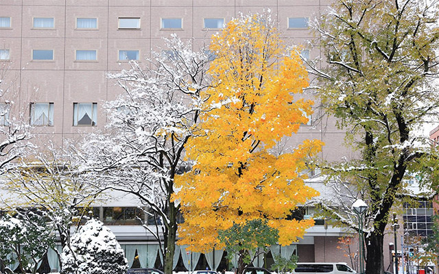 在庫超歓迎紅葉・突然の雪 自然、風景画