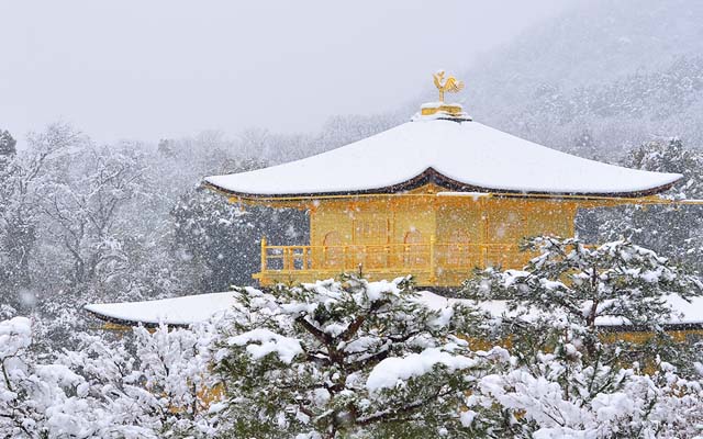 美しさにため息 雪化粧された金閣寺は １００年前から素敵だった Grape グレイプ