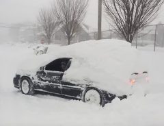 外国人「日本車のパワーはんぱねぇ」　大雪にびくともしない様子に驚きの声