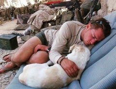 絶対にこの犬を連れて帰る　戦地で生まれた兵士と犬の友情が奇跡を起こした