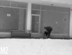 雪の中冷え切った子犬に寄り添った男性　監視カメラが偶然捉えた驚きの行動とは