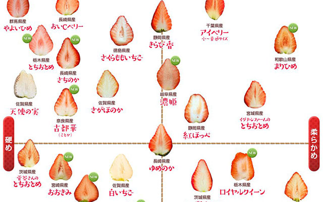 全２８種類 硬さとカタチで分類した イチゴの品種別分布図が分かりやすい Grape グレイプ