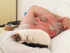 常連にならざるをえない！『猫の添い寝サービス』にホテルの宿泊客はメロメロ