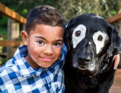 「自分の顔なんて嫌い」疾患を持った少年を救った『１匹の犬』とは？