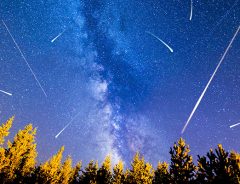 こと座流星群が春の夜空を飾る　おすすめの観測日時は？