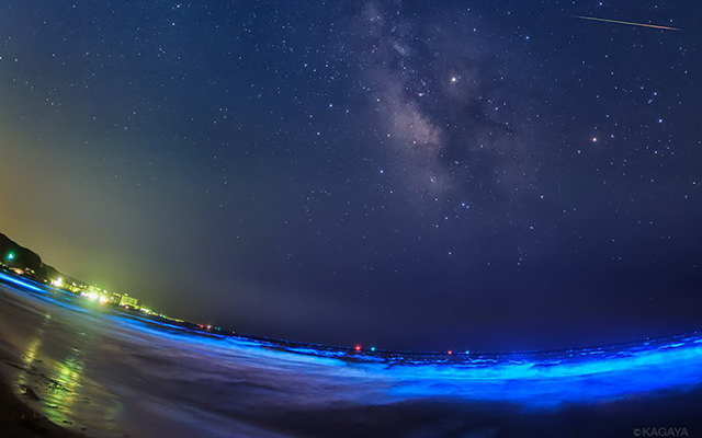 流星群の夜 鎌倉に現れた夜光虫 海と空 両方が光る光景を映像で Grape グレイプ