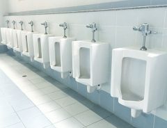 小学生の『トイレ事情』　日本「学校では嫌」一方、アメリカは？