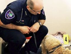 保護施設の犬が逮捕！？　『恐ろしい事件』なのに、多くの人が笑顔になった理由