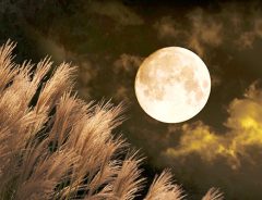 「月がめっちゃ綺麗なんだけど！」２０１７年の『中秋の名月』は観測良好！