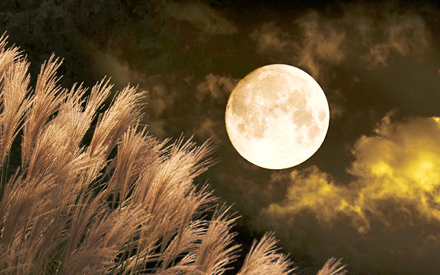 月がめっちゃ綺麗なんだけど ２０１７年の 中秋の名月 は観測良好 Grape グレイプ