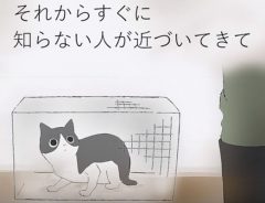 埼玉県、猫虐待事件を描いた映像　静かな物語から伝わる悲惨さ
