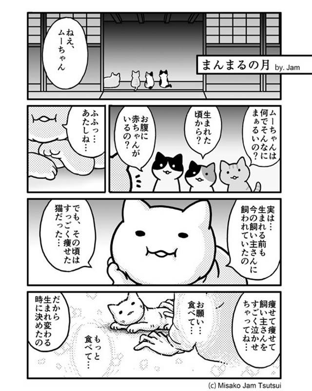 なんでキミは身体が丸いの 猫が語った 過去 に涙 Grape グレイプ