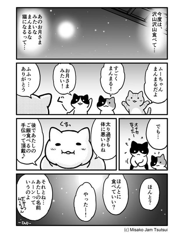 なんでキミは身体が丸いの 猫が語った 過去 に涙 Grape グレイプ