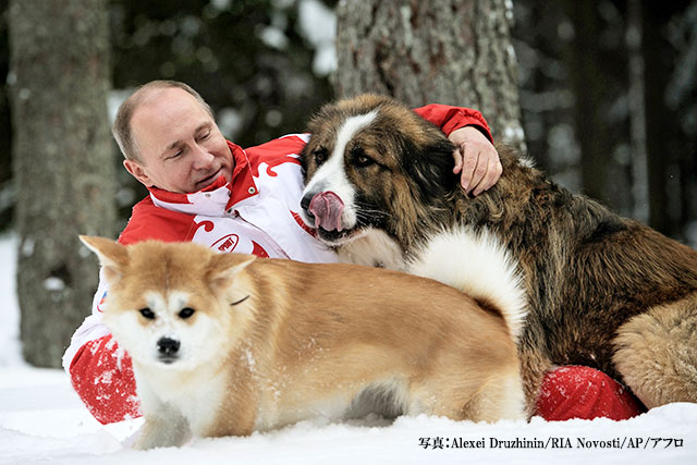 首根っこをつかまれた子犬を見た プーチン大統領 その後の行動に さすが愛犬家 Grape グレイプ
