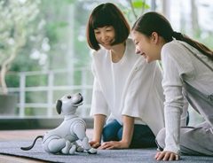 １０年ぶりに犬型ロボット『aibo（アイボ）』が復活！