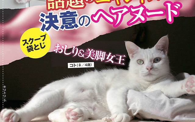 猫雑誌の斜め上を行く『週ニャン大衆』 あまりの内容に二度見した 