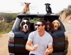 保護した６匹の愛犬と旅する男性　そこには『心温まる理由』があった