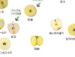 一発で分かる『リンゴ』の蜜入り分布図　「私が求めていたものはこれだ！」