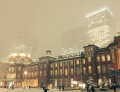 大雪の東京駅で目撃された『日本人らしい』光景が、称賛を集める